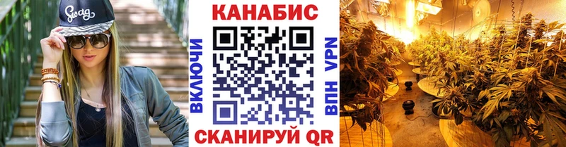 Конопля OG Kush  Ядрин 